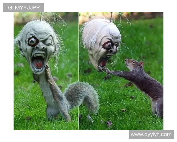 凯尔特人不为人知的十大冷知识揭秘 你了解多少 凯尔特人不为人知的十大冷知识揭秘 你了解多少